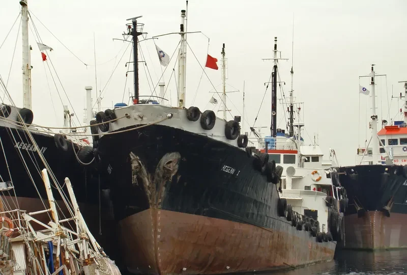 AEGEAN I General Cargo IMO 6622226 photo 2