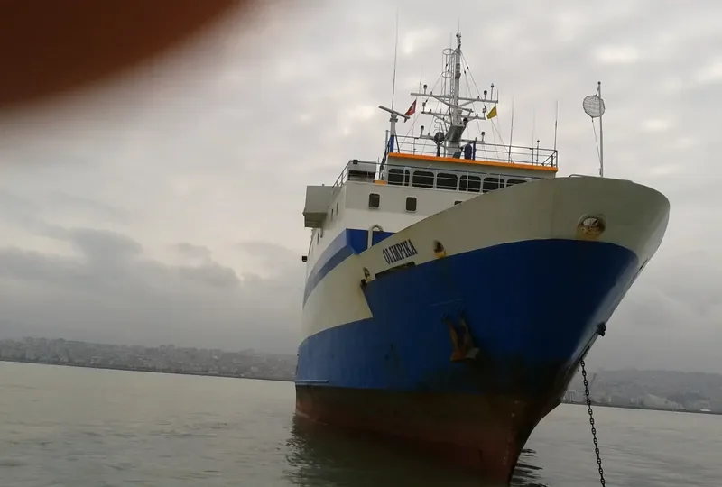 OLIMPIKA General Cargo IMO 6651851 photo 6