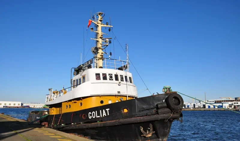 GOLIAT General Cargo IMO 6700028 photo 6