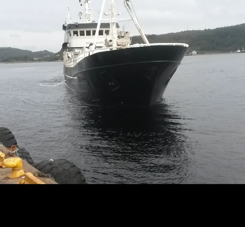 RINGASKJAER General Cargo IMO 6700638