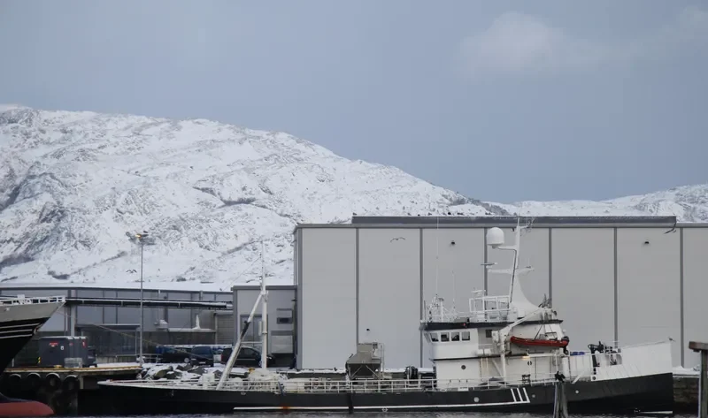 RINGASKJAER General Cargo IMO 6700638 photo 2