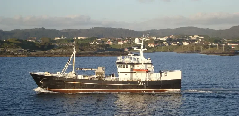 RINGASKJAER General Cargo IMO 6700638 photo 4