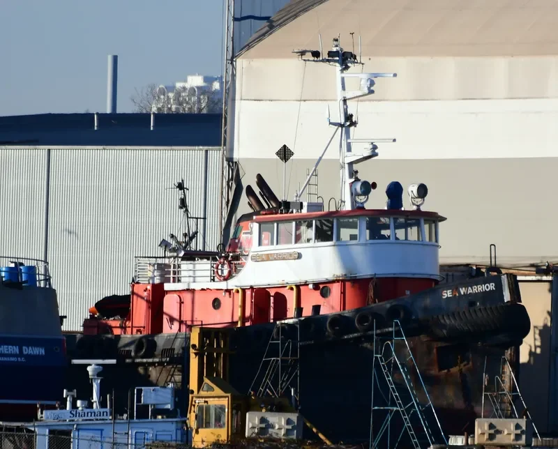 SEA WARRIOR General Cargo IMO 6703123