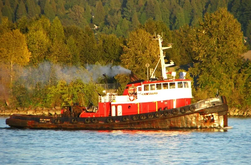 SEA WARRIOR General Cargo IMO 6703123 photo 2