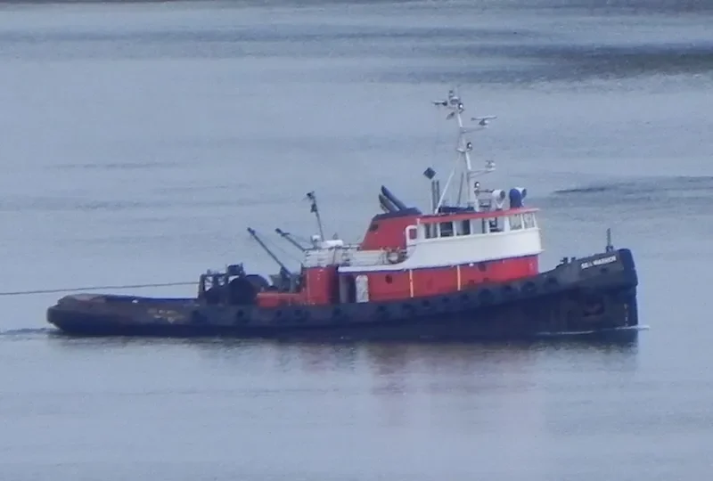 SEA WARRIOR General Cargo IMO 6703123 photo 7