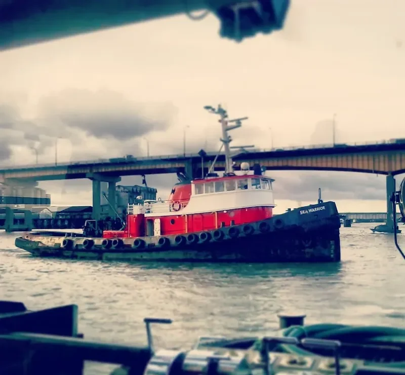 SEA WARRIOR General Cargo IMO 6703123 photo 8
