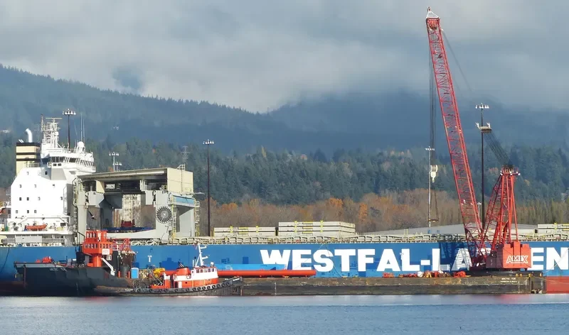 SEA WARRIOR General Cargo IMO 6703123 photo 10