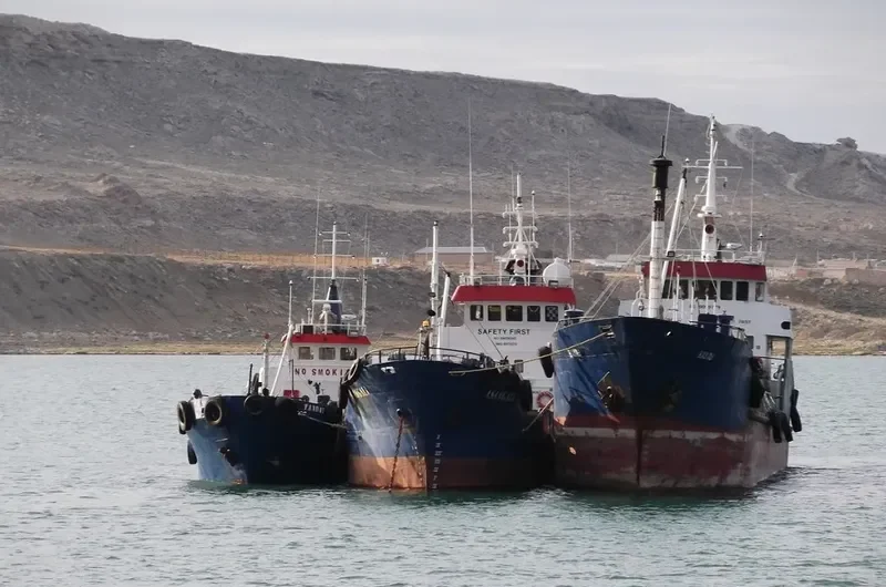 NEVSKIY General Cargo IMO 6703549 photo 6