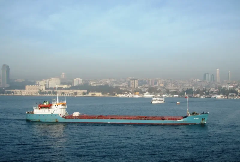 ALI M General Cargo IMO 6703795