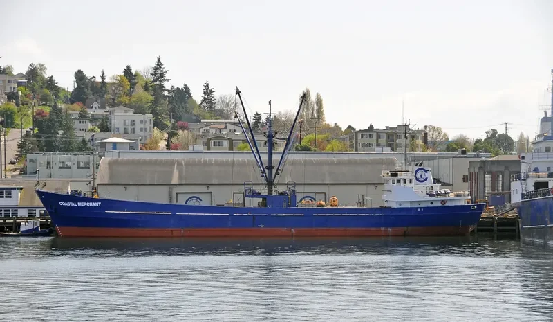 COASTAL MERCHANT General Cargo IMO 6704854