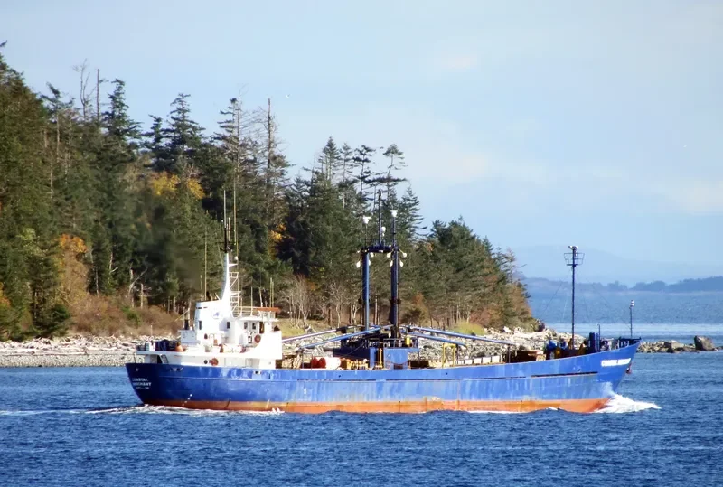 COASTAL MERCHANT General Cargo IMO 6704854 photo 5