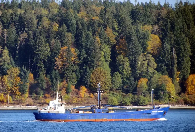 COASTAL MERCHANT General Cargo IMO 6704854 photo 7