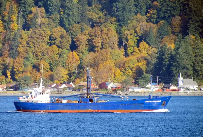 COASTAL MERCHANT General Cargo IMO 6704854 photo 8