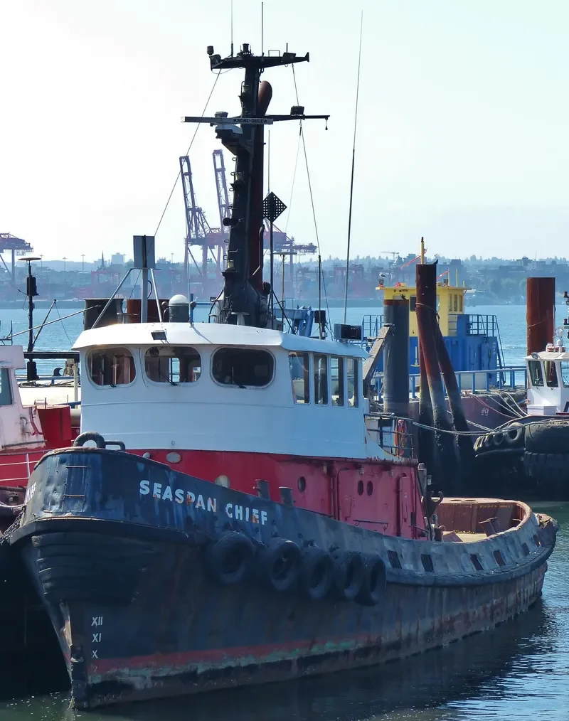 SEASPAN CHIEF General Cargo IMO 6704866 photo 2