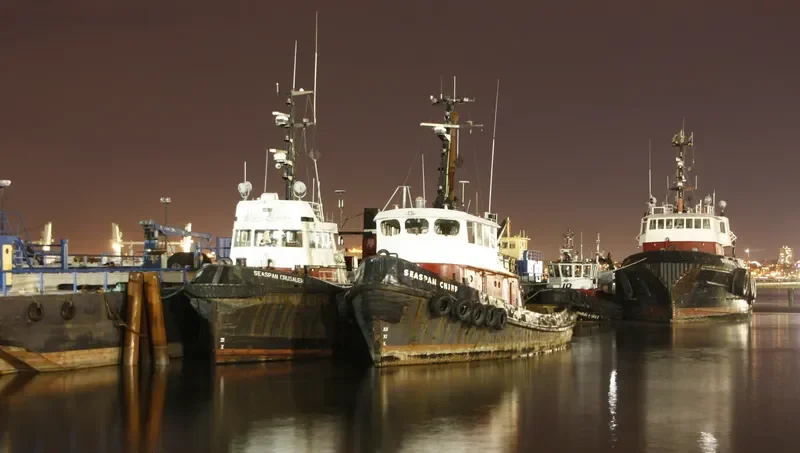 SEASPAN CHIEF General Cargo IMO 6704866 photo 3
