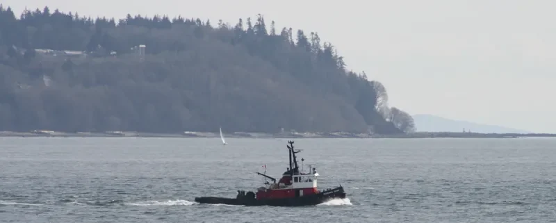SEASPAN CHIEF General Cargo IMO 6704866 photo 10