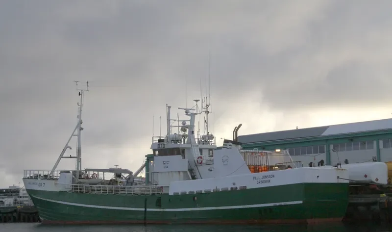 PALL JONSSON General Cargo IMO 6704892 photo 4