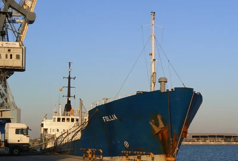 FOLLIA General Cargo IMO 6705224 photo 4