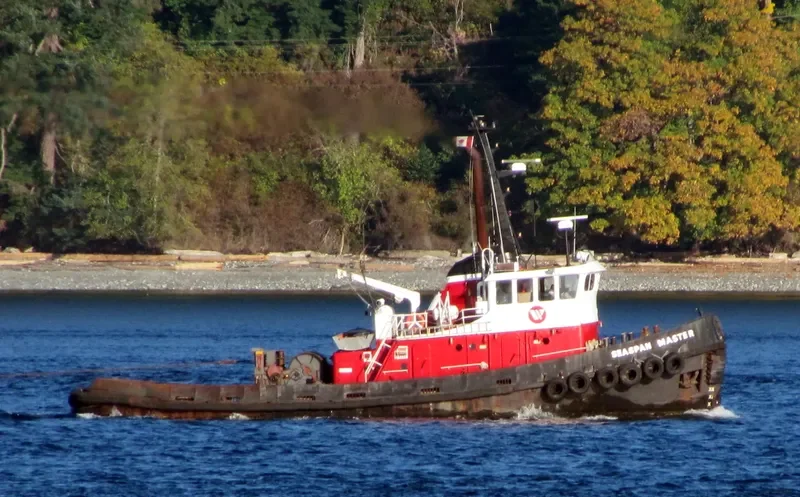 SEASPAN MASTER General Cargo IMO 6705913 photo 3