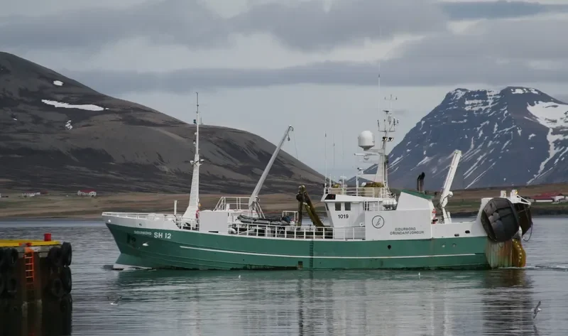 SIGURBORG General Cargo IMO 6705963