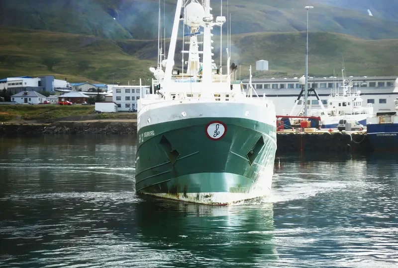 SIGURBORG General Cargo IMO 6705963 photo 5