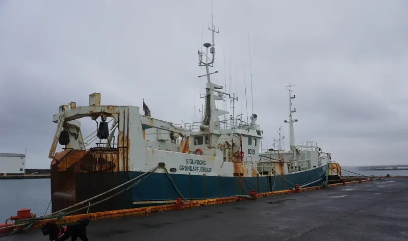 SIGURBORG General Cargo IMO 6705963 photo 9