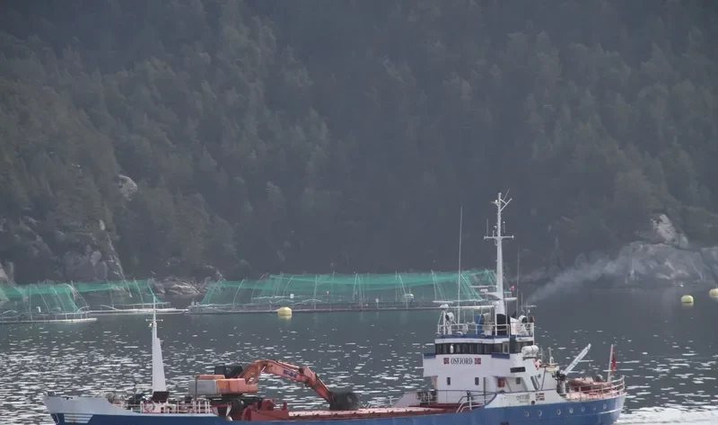 OSFJORD General Cargo IMO 6706113 photo 10