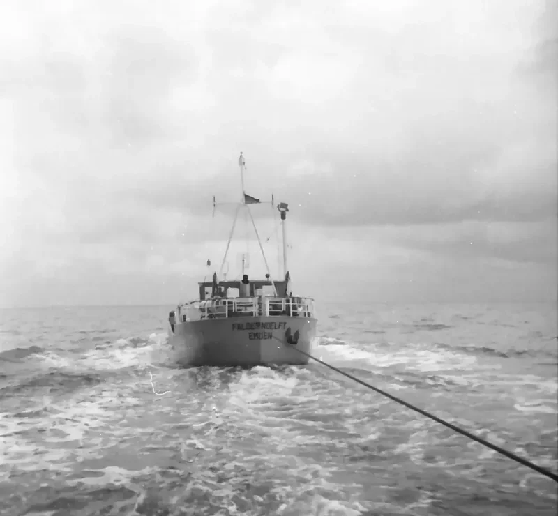 DELFINO BLU General Cargo IMO 6706137