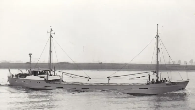 DELFINO BLU General Cargo IMO 6706137 photo 3