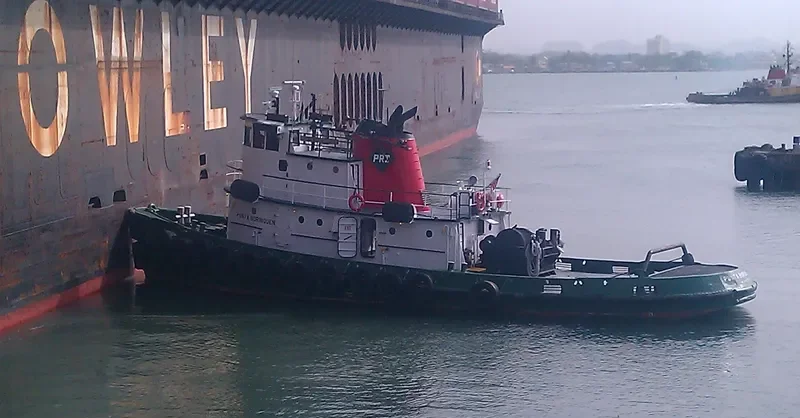 PUNTA BORINQUEN General Cargo IMO 6707105 photo 2