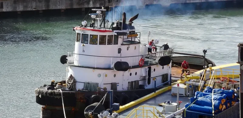 PUNTA BORINQUEN General Cargo IMO 6707105 photo 7