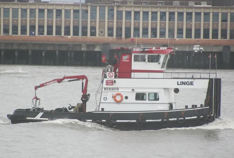 LINGE General Cargo IMO 6707193 photo 4
