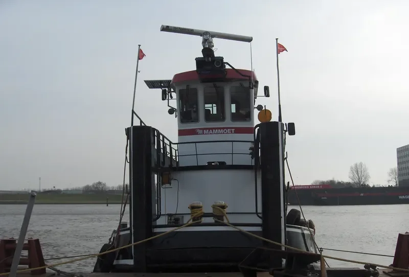 LINGE General Cargo IMO 6707193 photo 9