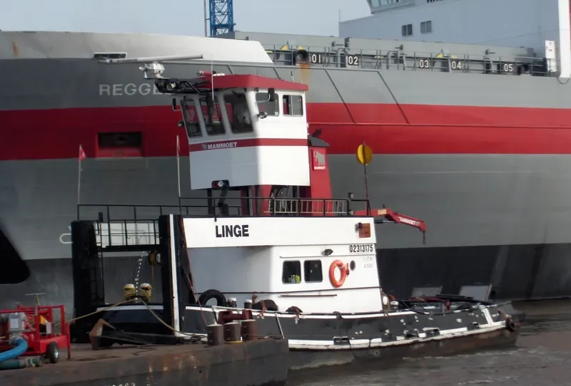 LINGE General Cargo IMO 6707193 photo 10