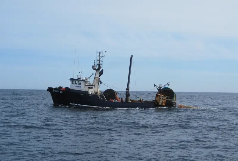 PEGGY JO General Cargo IMO 6708484 photo 4