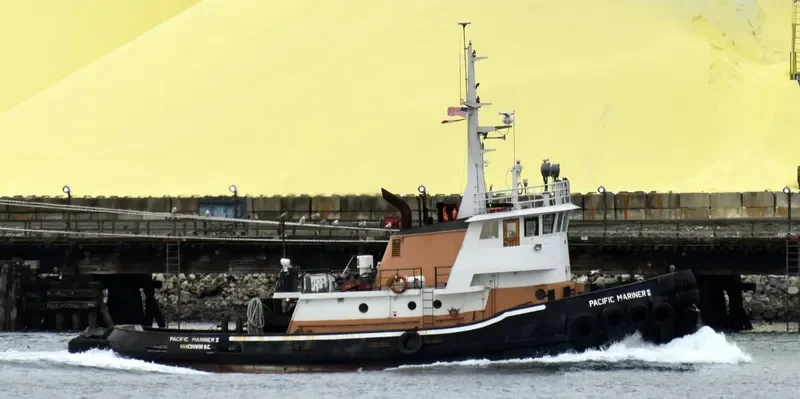 PACIFIC MARINER II General Cargo IMO 6709713 photo 8