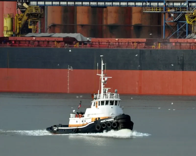PACIFIC MARINER II General Cargo IMO 6709713 photo 9