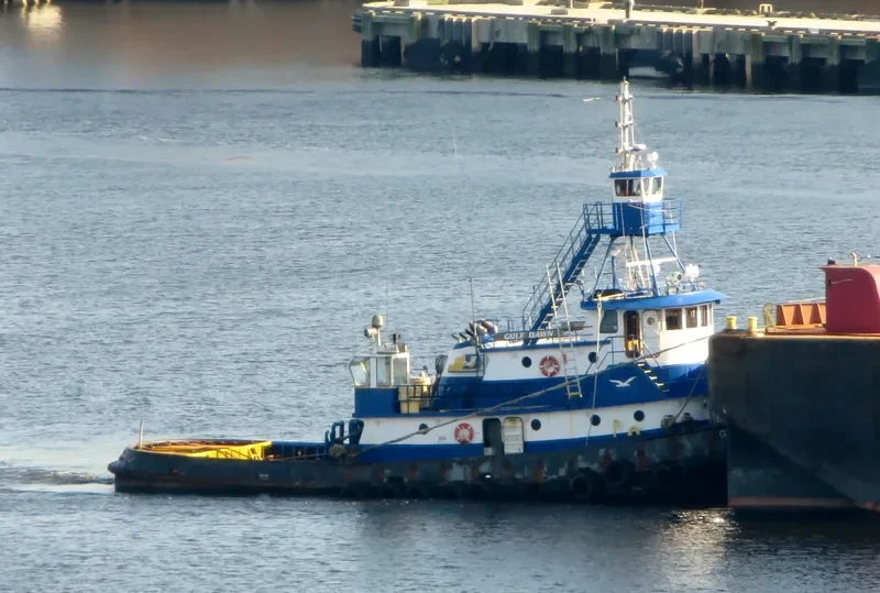 GULF DAWN General Cargo IMO 6709725 photo 6