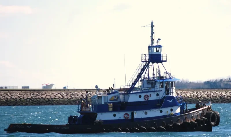 GULF DAWN General Cargo IMO 6709725 photo 8