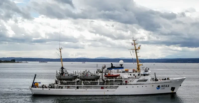 RAINIER General Cargo IMO 6711003 photo 3