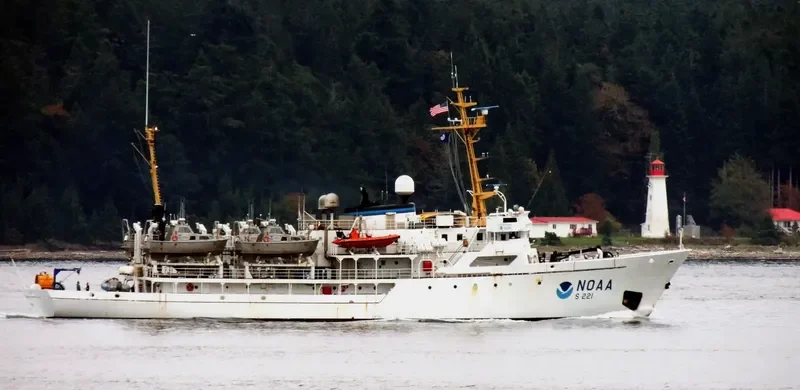 RAINIER General Cargo IMO 6711003 photo 10
