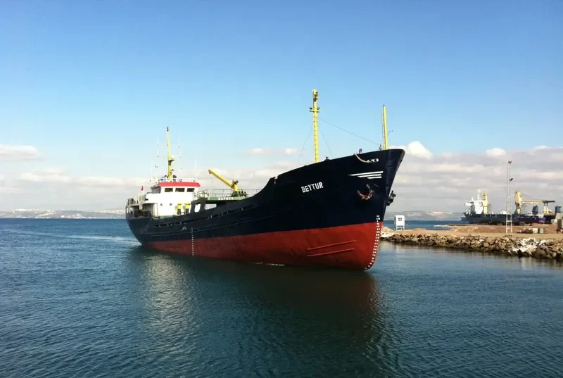 BEYTUR General Cargo IMO 6711132