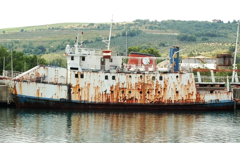 SALVATORE SECONDO Ro-Ro IMO 6711534 photo 6