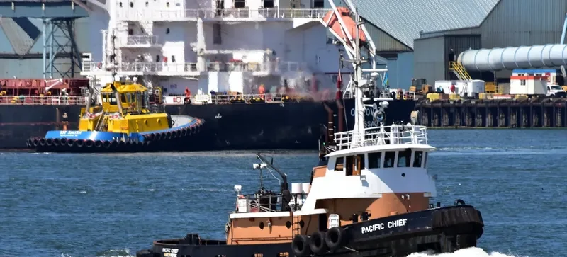 PACIFIC CHIEF General Cargo IMO 6712174 photo 3