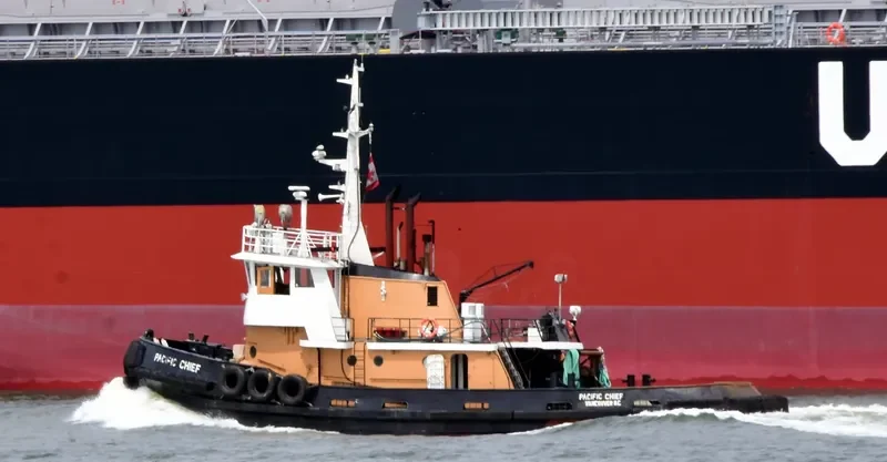 PACIFIC CHIEF General Cargo IMO 6712174 photo 4