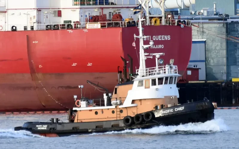 PACIFIC CHIEF General Cargo IMO 6712174 photo 8