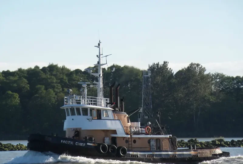 PACIFIC CHIEF General Cargo IMO 6712174 photo 10