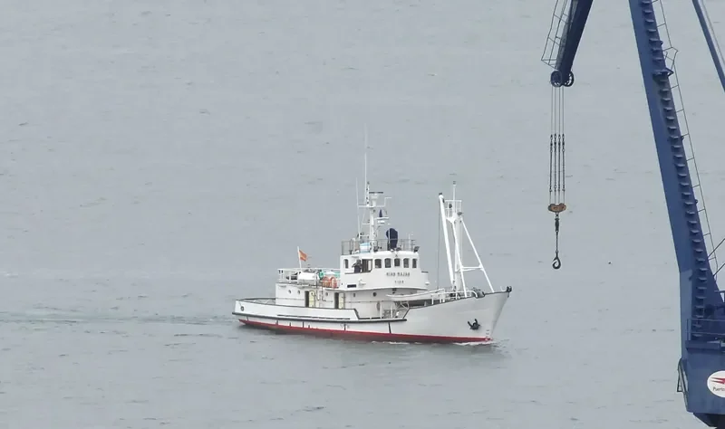 RIAS BAJAS General Cargo IMO 6712980 photo 9