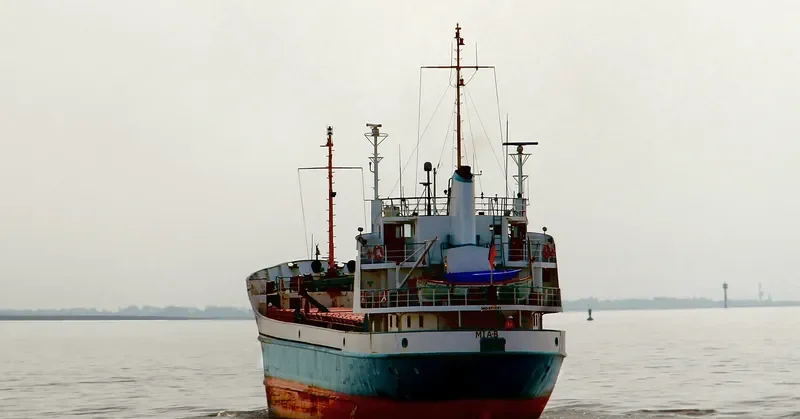 ANGELICA General Cargo IMO 6713283 photo 2