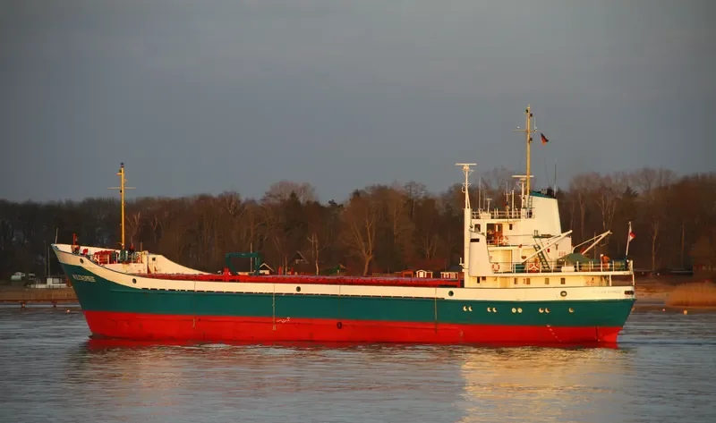 ANGELICA General Cargo IMO 6713283 photo 8